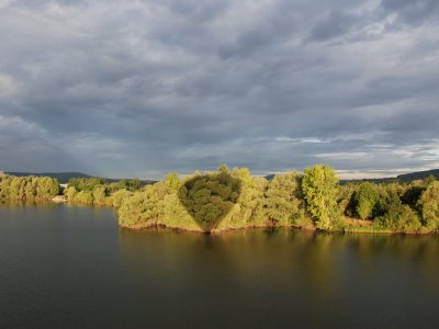 DSC_6647